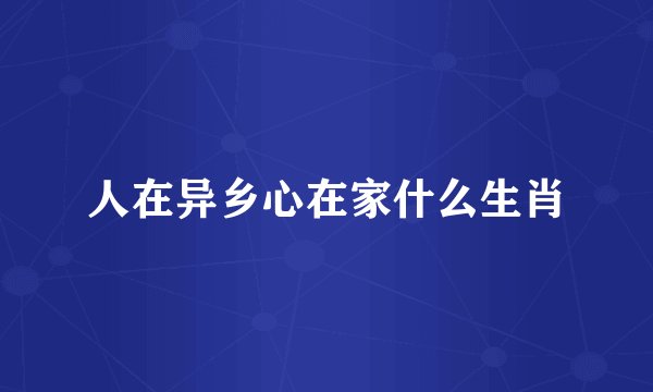 人在异乡心在家什么生肖