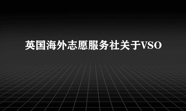 英国海外志愿服务社关于VSO