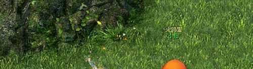 魔域节日任务之感恩节活动——火鸡快跑任务攻略