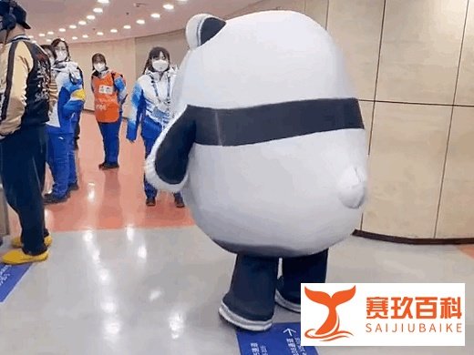 冰墩墩,再见了!