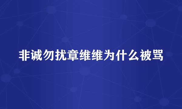 非诚勿扰章维维为什么被骂