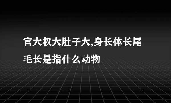 官大权大肚子大,身长体长尾毛长是指什么动物
