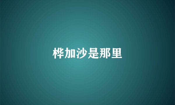 桦加沙是那里