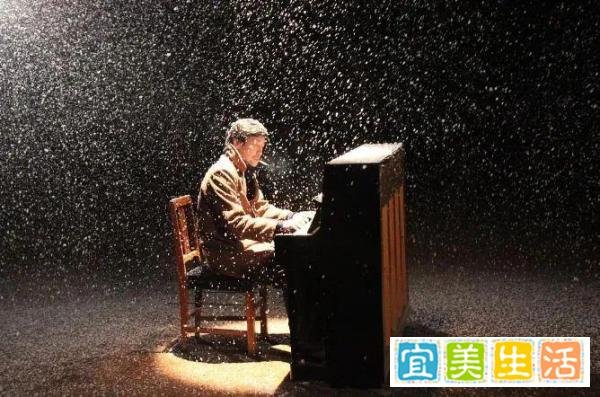 这些电影赢得了口碑，却输了票房