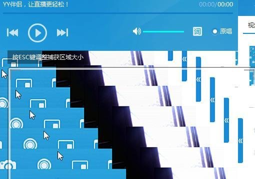 yy伴侣画中画怎么用