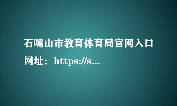 石嘴山市教育体育局官网入口网址：https://szsjyj.nxeduyun.com/