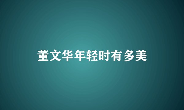 董文华年轻时有多美