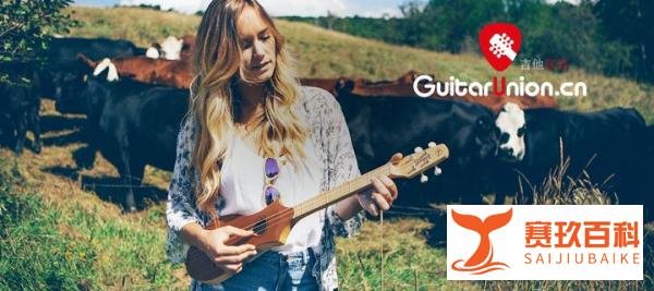 【名琴百科】Seagull Guitars 海鸥吉他来自加拿大的自然之声