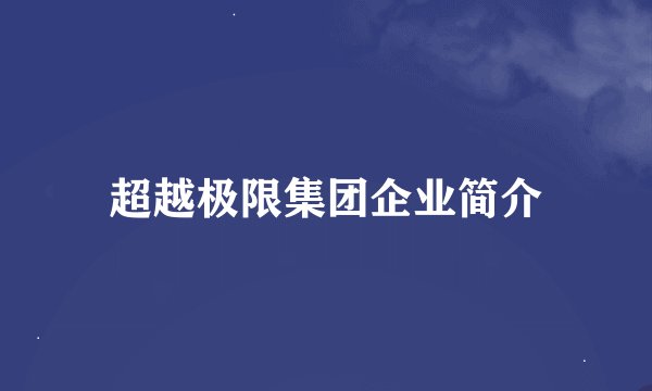 超越极限集团企业简介