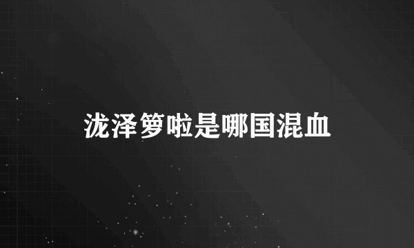 泷泽箩啦是哪国混血