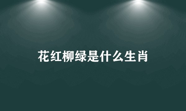 花红柳绿是什么生肖
