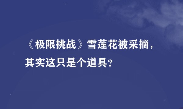 《极限挑战》雪莲花被采摘，其实这只是个道具？