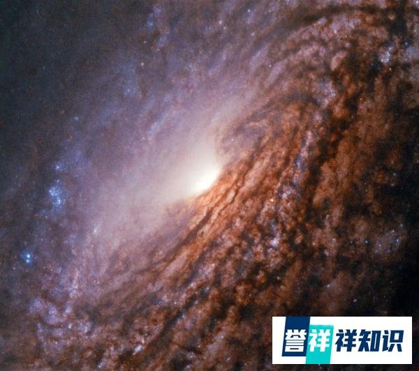 科学家首次证实银河系在踩刹车：自转速度已减慢1/4