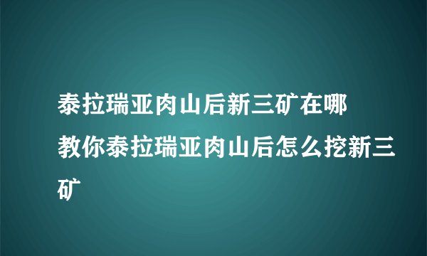 泰拉瑞亚肉山后新三矿在哪 教你泰拉瑞亚肉山后怎么挖新三矿