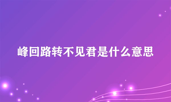 峰回路转不见君是什么意思