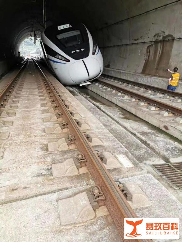 突发!一动车组在隧道内出事了...