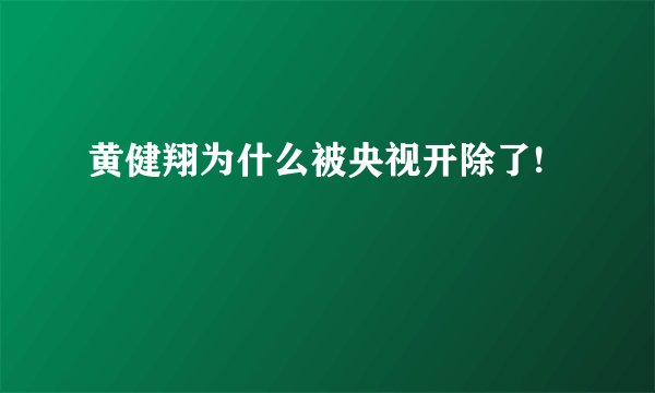 黄健翔为什么被央视开除了!
