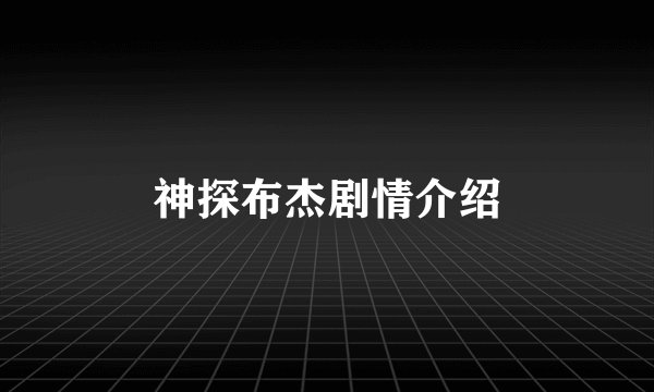 神探布杰剧情介绍
