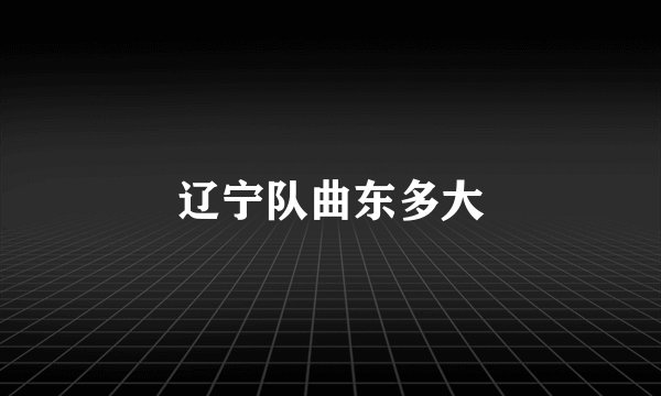 辽宁队曲东多大