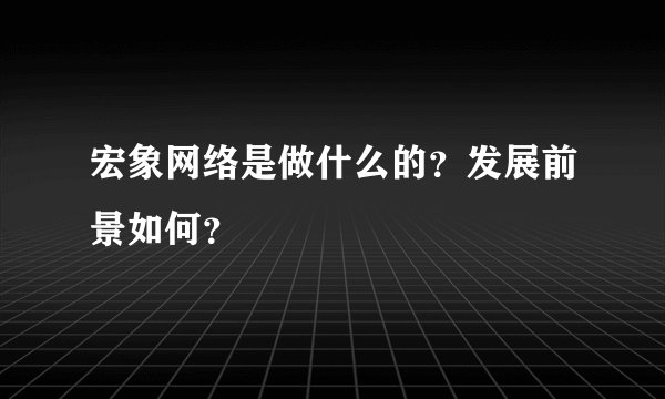 宏象网络是做什么的？发展前景如何？