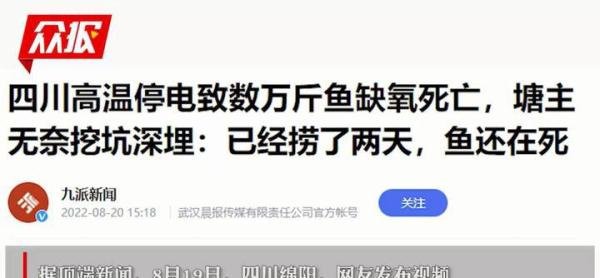 高温停电 数万斤鱼缺氧死亡漂满水面 这是咋情况？