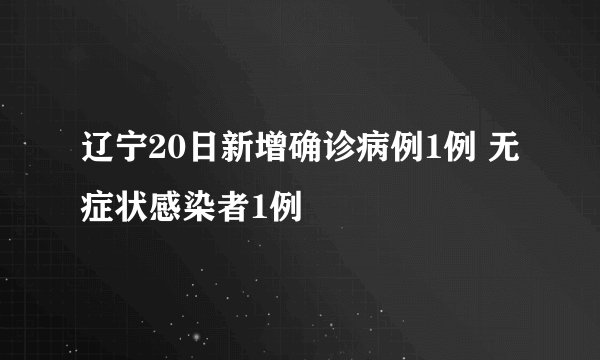 辽宁20日新增确诊病例1例 无症状感染者1例