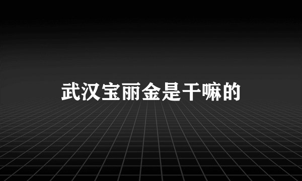 武汉宝丽金是干嘛的