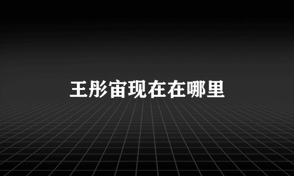 王彤宙现在在哪里
