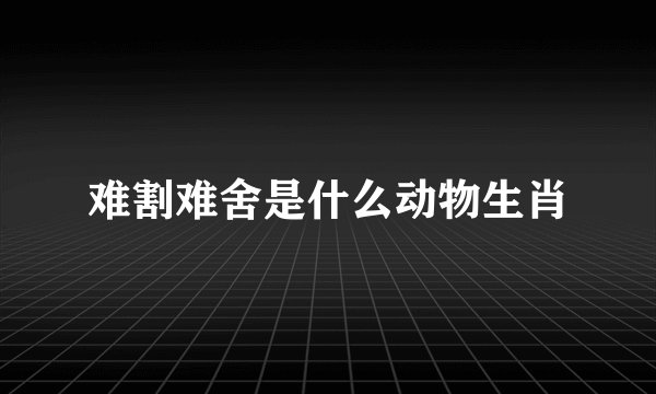 难割难舍是什么动物生肖