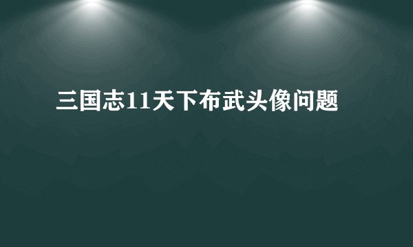 三国志11天下布武头像问题