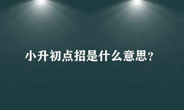 小升初点招是什么意思？