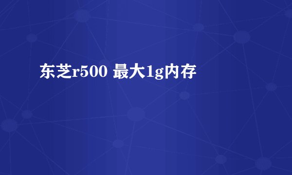 东芝r500 最大1g内存