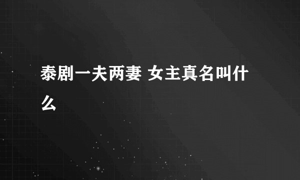 泰剧一夫两妻 女主真名叫什么