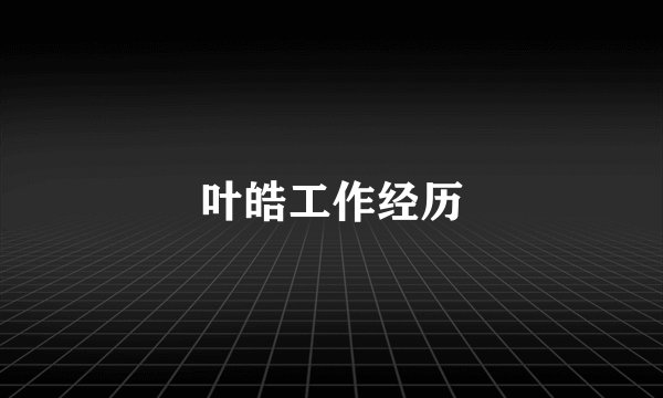 叶皓工作经历