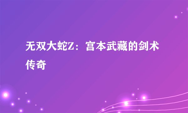 无双大蛇Z：宫本武藏的剑术传奇