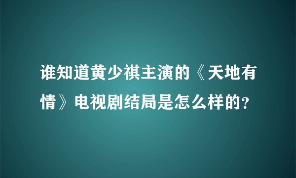 谁知道黄少祺主演的《天地有情》电视剧结局是怎么样的？