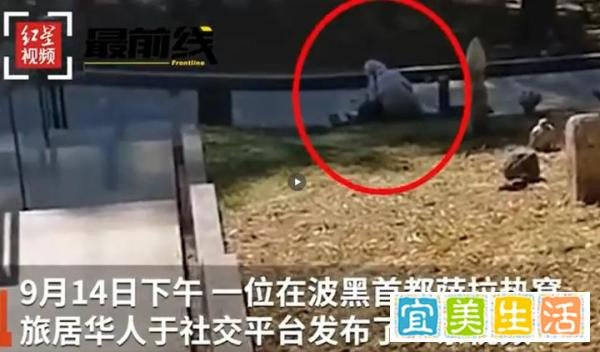 华人女孩国外失联25天后被找到！视频曝光，精神异常，不愿回国