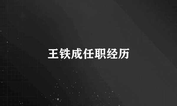 王铁成任职经历