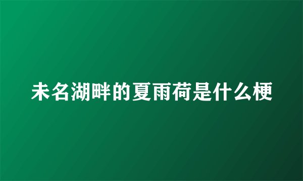 未名湖畔的夏雨荷是什么梗