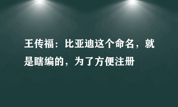 王传福：比亚迪这个命名，就是瞎编的，为了方便注册