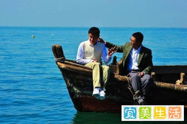 这些电影赢得了口碑，却输了票房