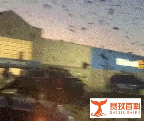 美国“疫情海啸”爆发！日新增150万例，死亡1906人！成群乌鸦闻味赶来，有人高呼“世界末日”！