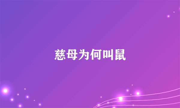 慈母为何叫鼠