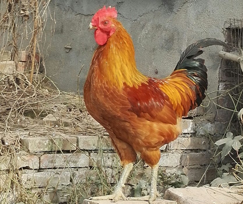 土里藏金是什么意思