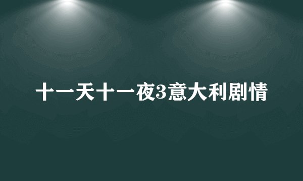 十一天十一夜3意大利剧情