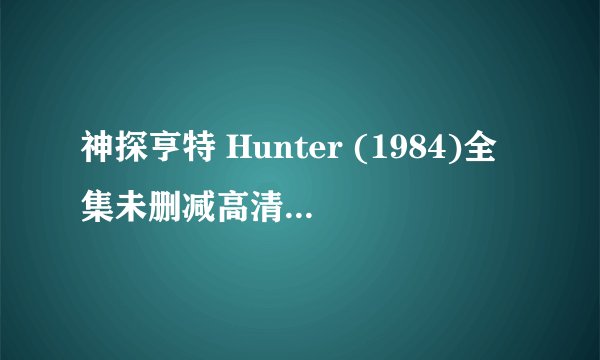 神探亨特 Hunter (1984)全集未删减高清版免费下载