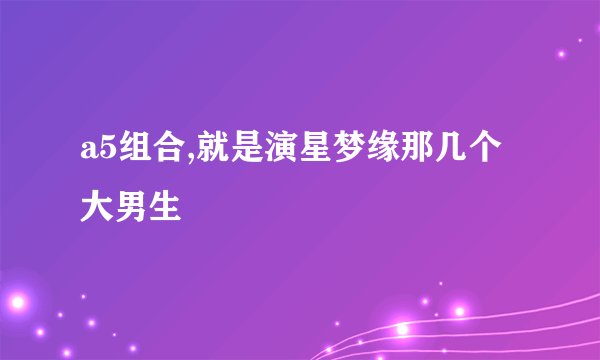 a5组合,就是演星梦缘那几个大男生