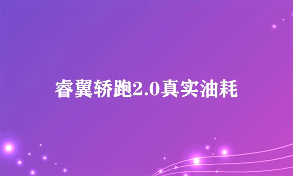 睿翼轿跑2.0真实油耗
