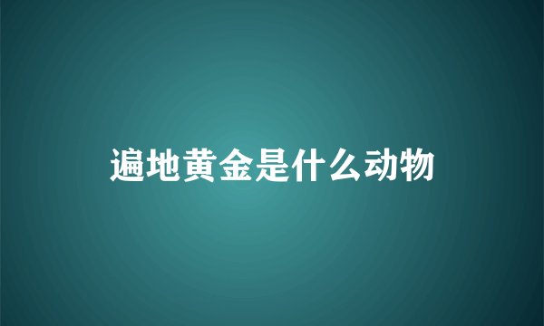遍地黄金是什么动物