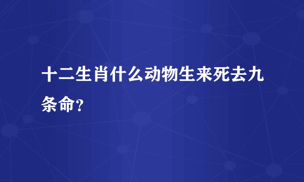 十二生肖什么动物生来死去九条命？